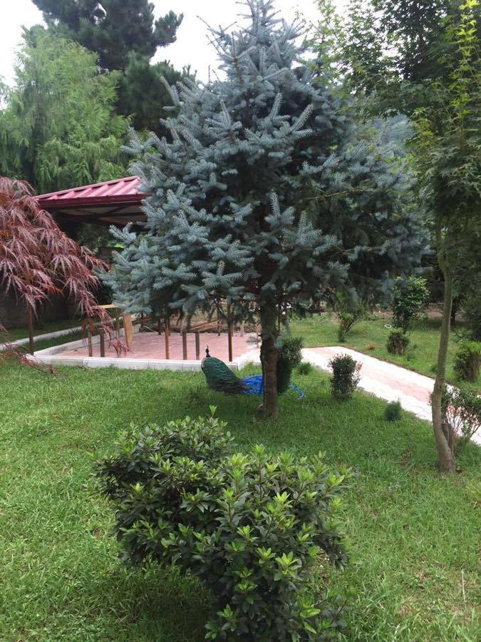 Vacation Home Nukri 고니오 외부 사진