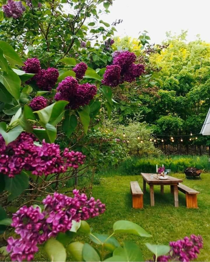 Vacation Home Nukri 고니오 외부 사진